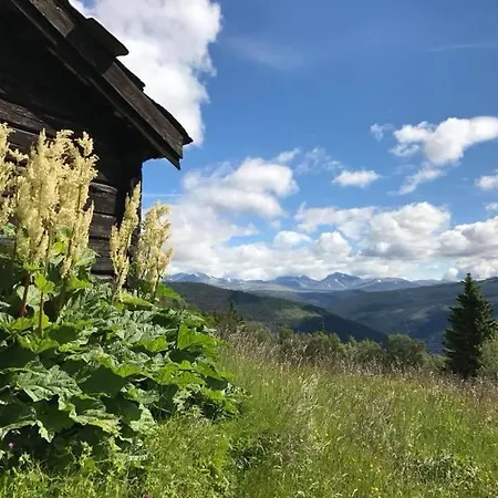 Ovre Tho Seter Lodge